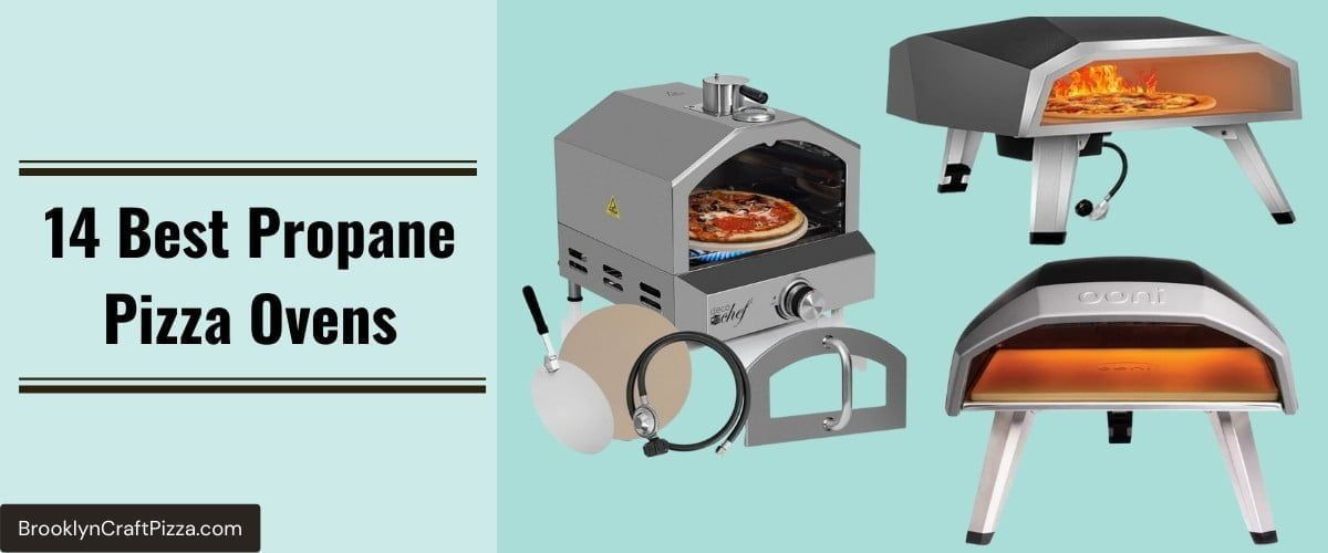 Best Propane Pizza Ovens