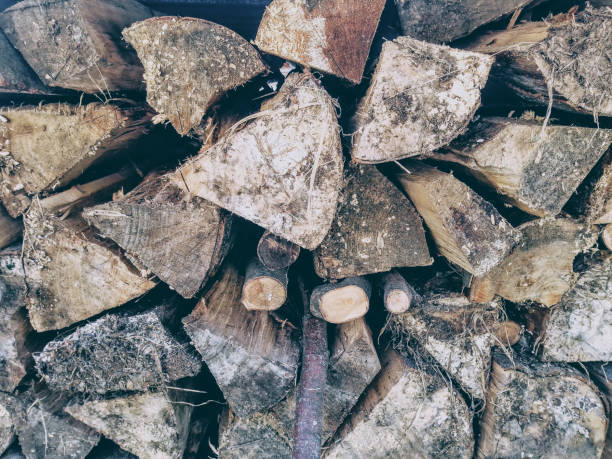 close-up of firewood pile theme abstract rustic backgrounds
